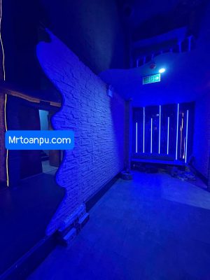 Hướng Dẫn Toàn Diện Về Tấm PU Gạch Thẻ Và Tấm PU Đá Thẻ Trong Kiến Trúc Hiện Đại Thị trường vật liệu hoàn thiện nội ngoại thất đang chứng kiến bước chuyển mình mạnh mẽ từ các dòng vật liệu truyền thống nặng nề sang các giải pháp công nghệ cao siêu nhẹ. Trong số đó, xu hướng sử dụng vật liệu Polyurethane (PU) cấu trúc foam mật độ cao đang chiếm lĩnh các bản vẽ thiết kế hiện đại. Nếu như khái niệm tổng thể về tấm pu giả đá đã khẳng định vị thế trong việc tái tạo vẻ đẹp thiên nhiên, thì hai biến thể chuyên sâu là tấm pu gạch thẻ và tấm pu đá thẻ lại mang đến giải pháp tinh tế, tỉ mỉ cho những mảng tường đòi hỏi tính điểm nhấn cao, kiến trúc phân lớp và sự linh hoạt trong thi công. 1. Tìm Hiểu Chi Tiết Bản Chất Kỹ Thuật 1.1 Tấm Pu gạch thẻ là gì? Tấm PU gạch thẻ là dòng vật liệu trang trí dạng tấm đúc sẵn từ hợp chất Polyurethane mật độ cao (High-Density Polyurethane Foam), mô phỏng chính xác hình dáng, kích thước và bề mặt của các mảng gạch thẻ kiến trúc (gạch móng, gạch xây thô, gạch gốm). Thay vì phải ốp từng viên gạch đơn lẻ tốn hàng tuần lễ, sản phẩm này tích hợp hàng trăm "viên gạch thẻ" trên một khối tấm lớn với các đường mạch (ron) được định hình chuẩn xác tuyệt đối từ khuôn đúc. 1.2 Tấm Pu đá thẻ là gì? Tương tự như biến thể gạch thẻ, tấm pu đá thẻ tái hiện cấu trúc của các thanh đá tự nhiên được chẻ nhỏ và ghép lớp (như đá chẻ, đá slate, đá tăm). Bề mặt của tấm đá thẻ sở hữu độ gồ ghề, góc cạnh chớp nhấp chênh lệch chiều sâu rõ rệt, tạo hiệu ứng thị giác 3D vô cùng chân thực dưới ánh sáng đèn trang trí.